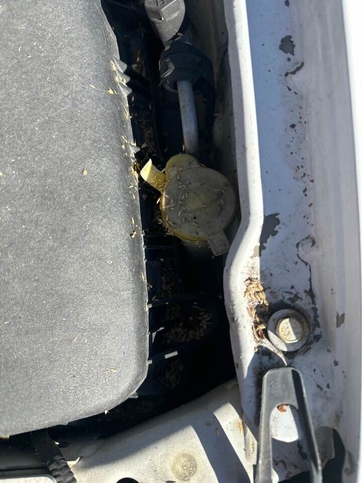 2008 Ford Fg Falcon Window Washer Bottle #B227