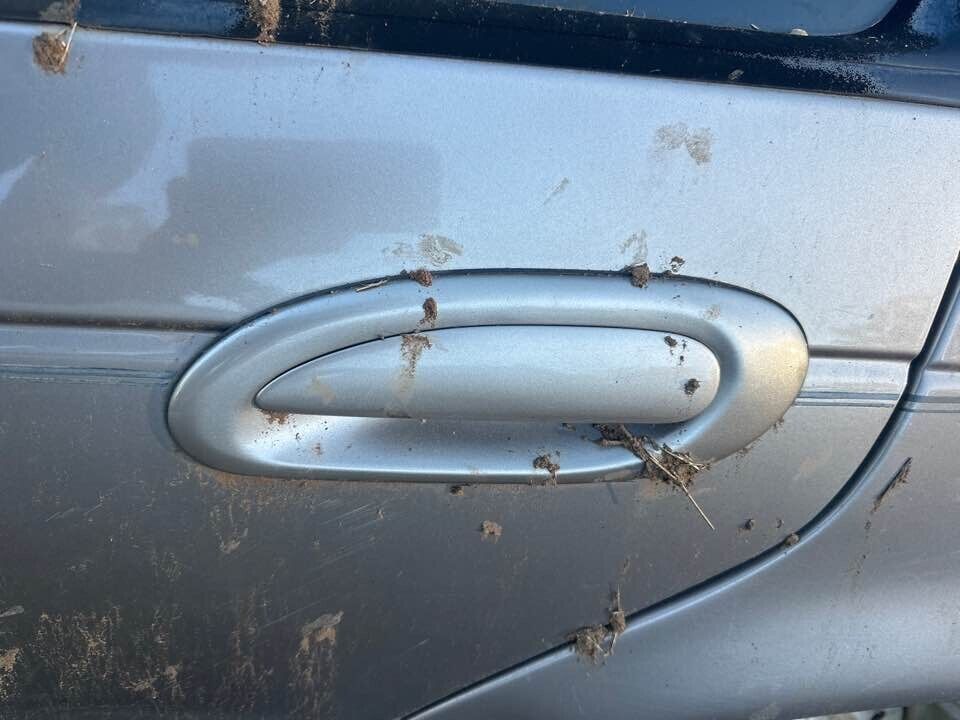 1995 Ford Ef Fairmont Outer Door Handle LH Passengers Rear #B237