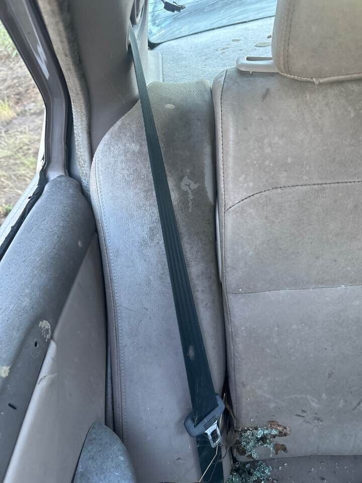 1995 Ford Ef Fairmont RH drivers Rear Seat Belt #B237