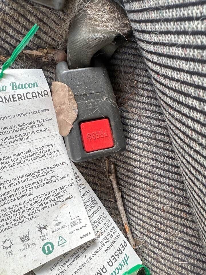 1993 Ford Raider Seat Belt Stalk LH Rear #B278