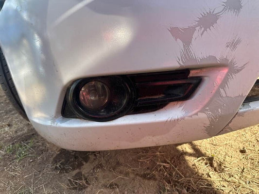 2008 Ford Fg Falcon Fog Light RH #B227