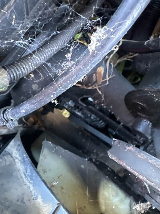 1994 Ford Ed Falcon Alternator #B195