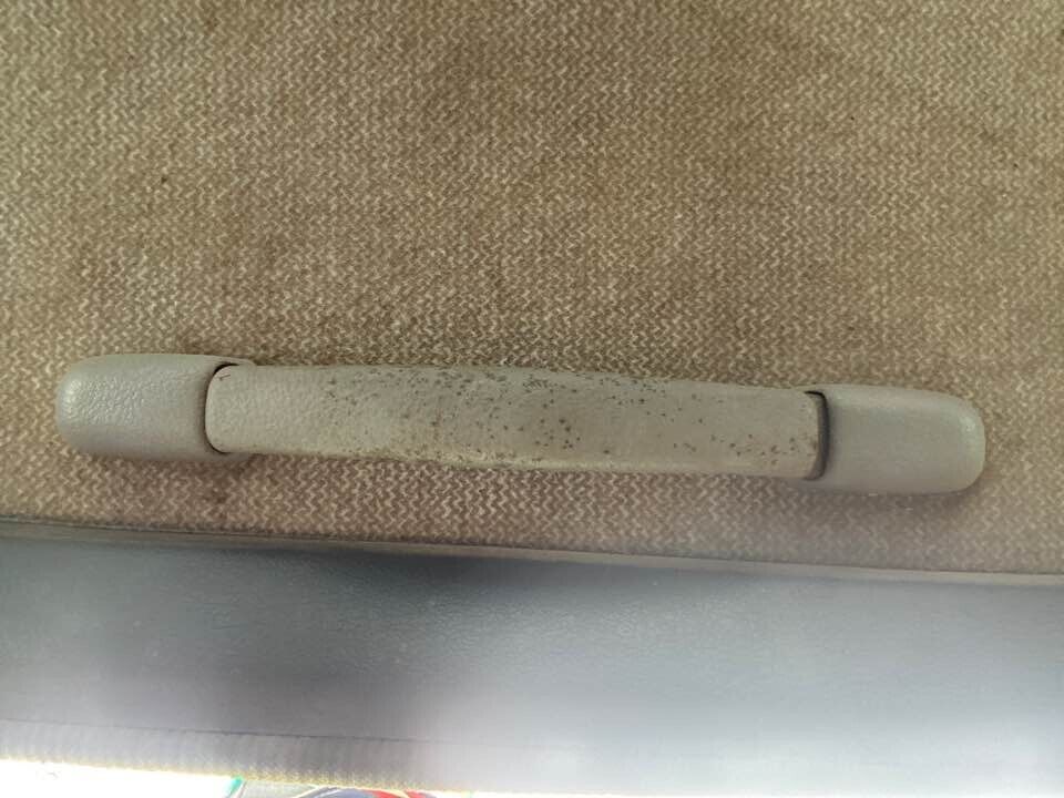 1993 Nissan Pathfinder Upper Grab Handle LH Rear #B322