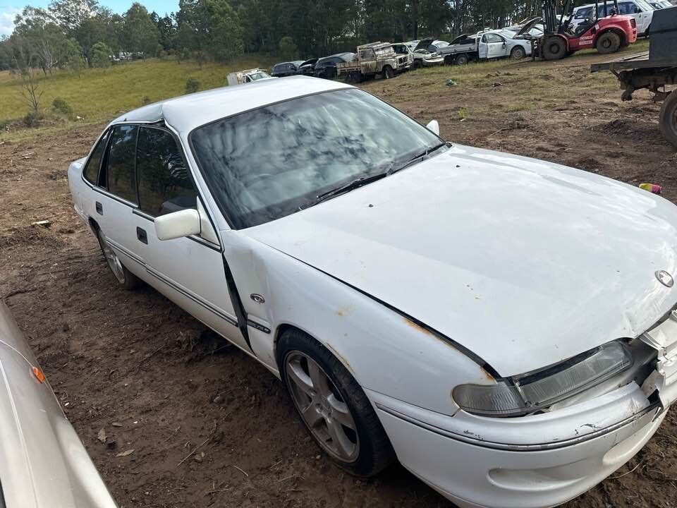 1994 Holden Vr Berlina Outer Door Handle LH Passengers Rear #B222