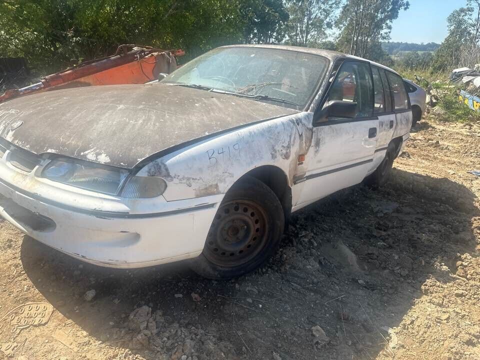 1994 Holden Vr Commodore Power Steering Pump #B419