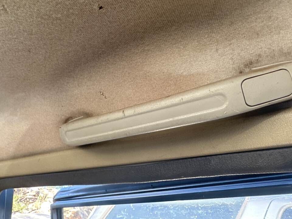 1993 Ford Raider Upper Grab Handle LH Rear #B278