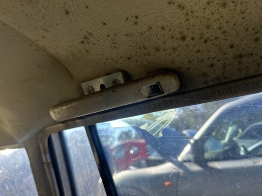 1993 Toyota 80 Series Land Cruiser Upper Grab Handle LH Rear #B257