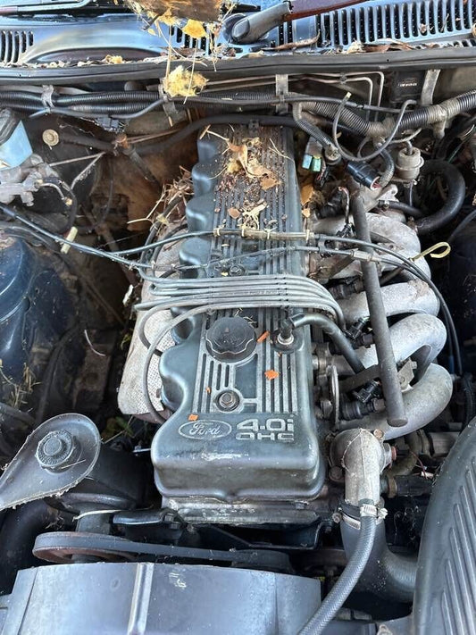 1994 Ford Ed Falcon Engine Cover #B195