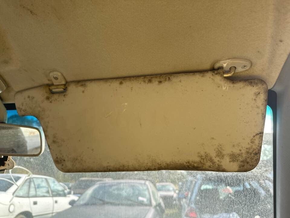 2008 Ford Ranger Sunvisor Right Hand #B316