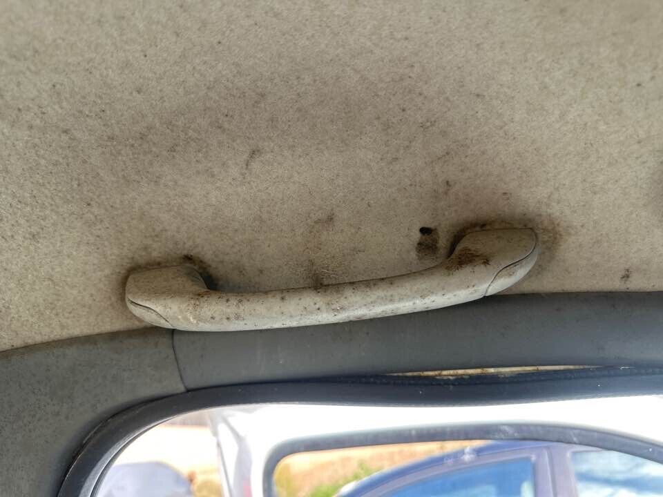 2008 Ford Ranger Upper Grab Handle LH Front #B316