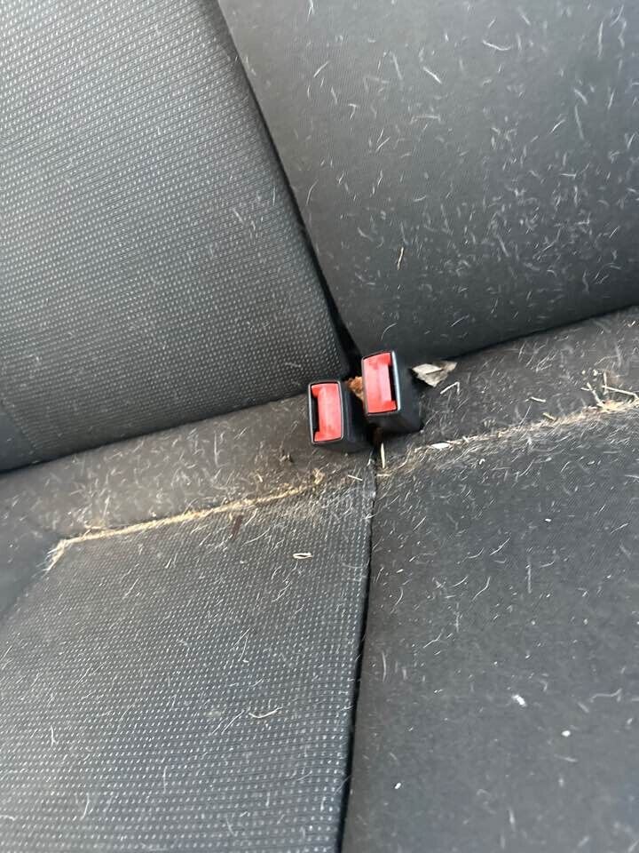 2008 Holden Ah Astra Seat Belt Stalk RH Rear #B214