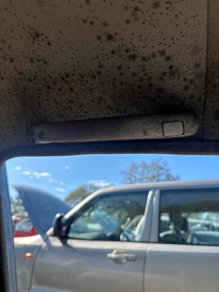 1993 Toyota 80 Series Land Cruiser Upper Grab Handle LH Front #B257