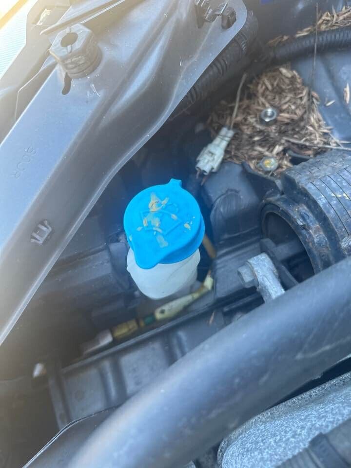 2007 Suzuki Sx4 Window Washer Bottle #B119