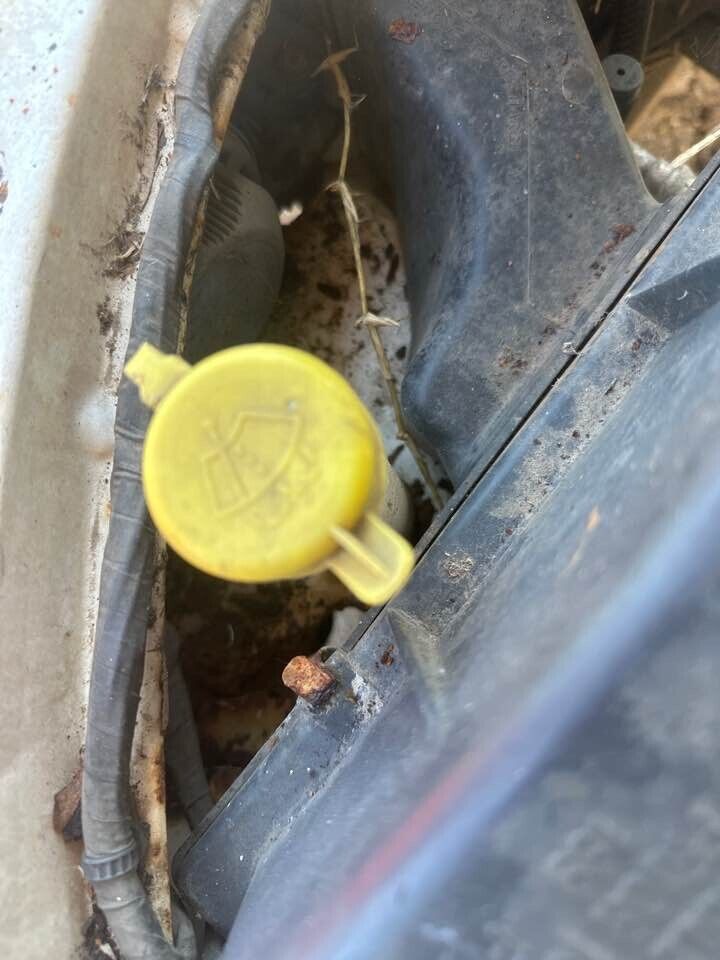 1994 Holden Vr Commodore Window Washer Bottle #B419