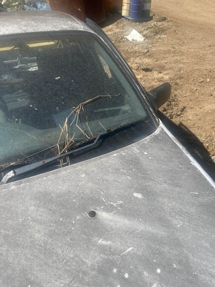 1994 Holden Vr Commodore LH Passengers Wiper Arm #B419