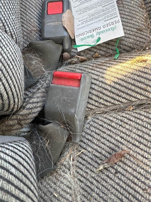 1993 Ford Raider Seat Belt Stalk Centre Rear #B278