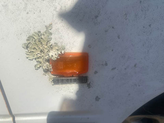 1994 Holden Vr Commodore Rh Driver Front Guard Repeater/blinker #B419